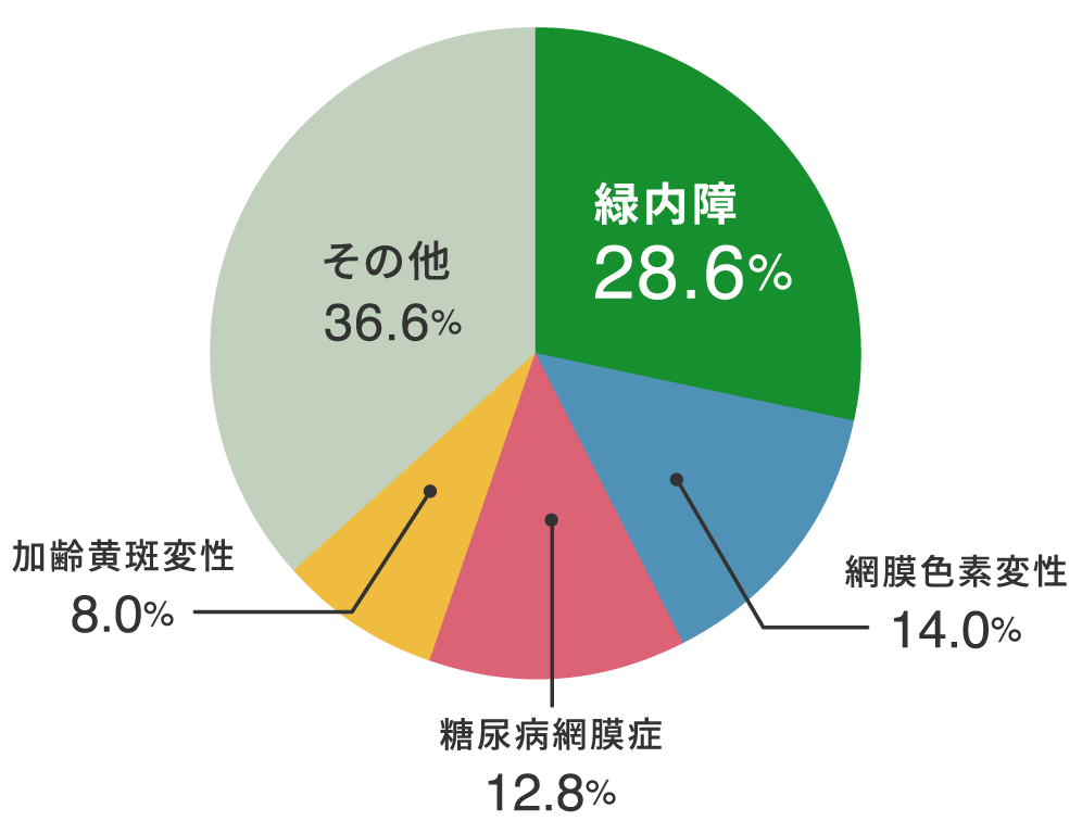 日本における中途失明の原因 円グラフイメージ